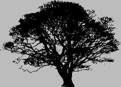 tree silhouette